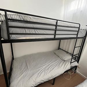 Single Bed Mixed Dormitory Room